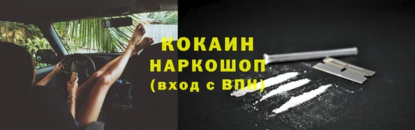 СК Няндома
