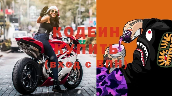 СК Няндома