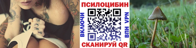 blacksprut зеркало  где купить   Муром  Псилоцибиновые грибы прущие грибы 